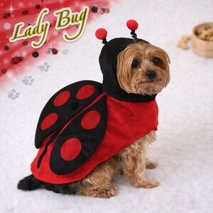 NWT: Ladybug Dog Costume